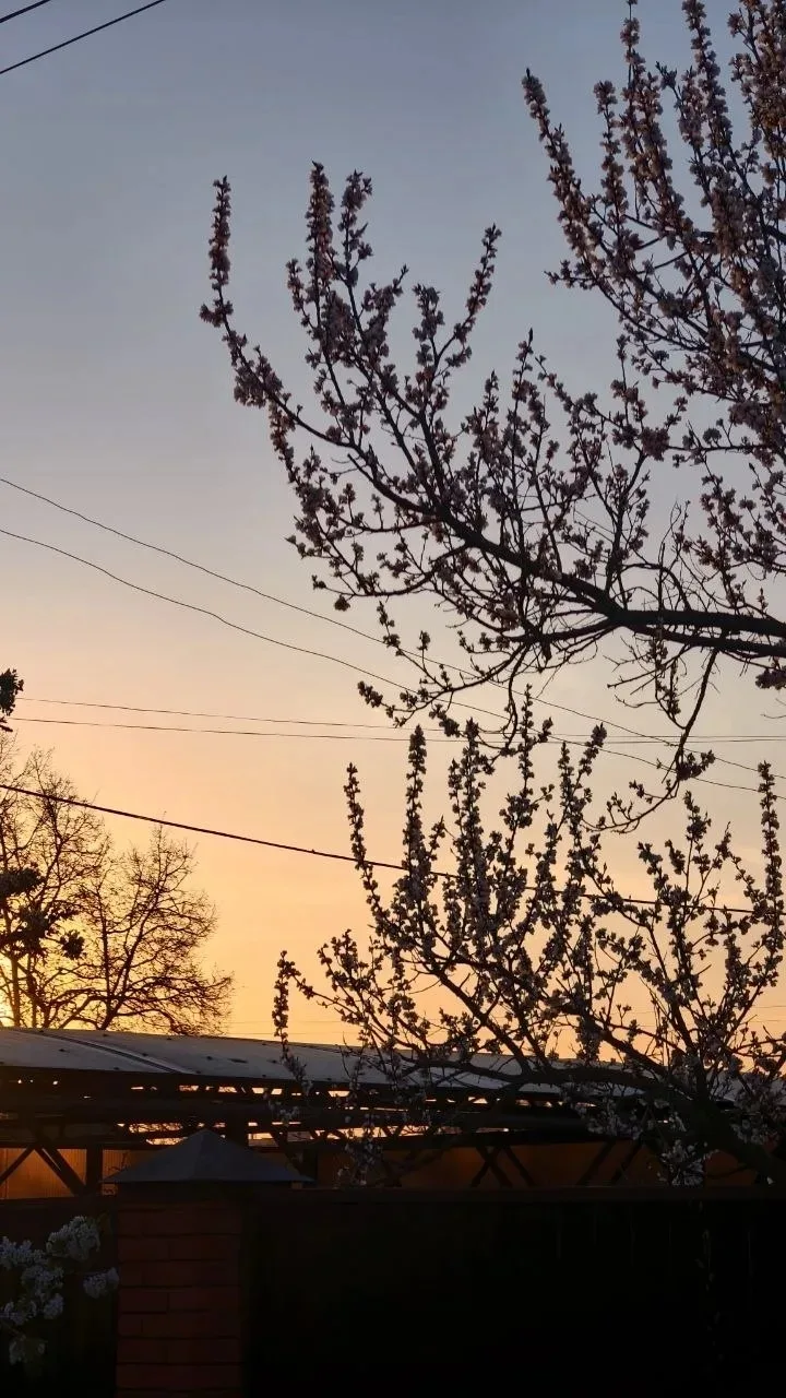 Как упоительны вечера в Тульской области! 🌆    Особенно когда стоит ясная погода.    Любуемся красив