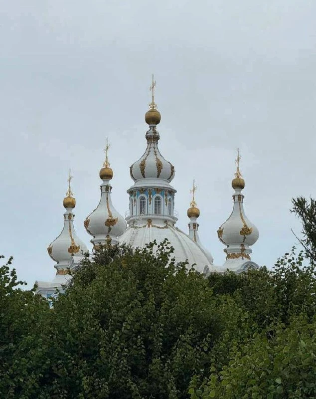 Правда, что скорбь окружающих действует на сердце. Если бы не вера в Бога, то жить было...