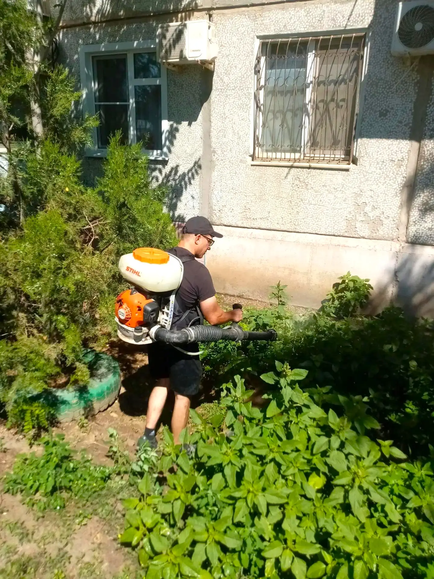 К новости «🛡 Забота о каждом уголке вашего двора! 🌿»