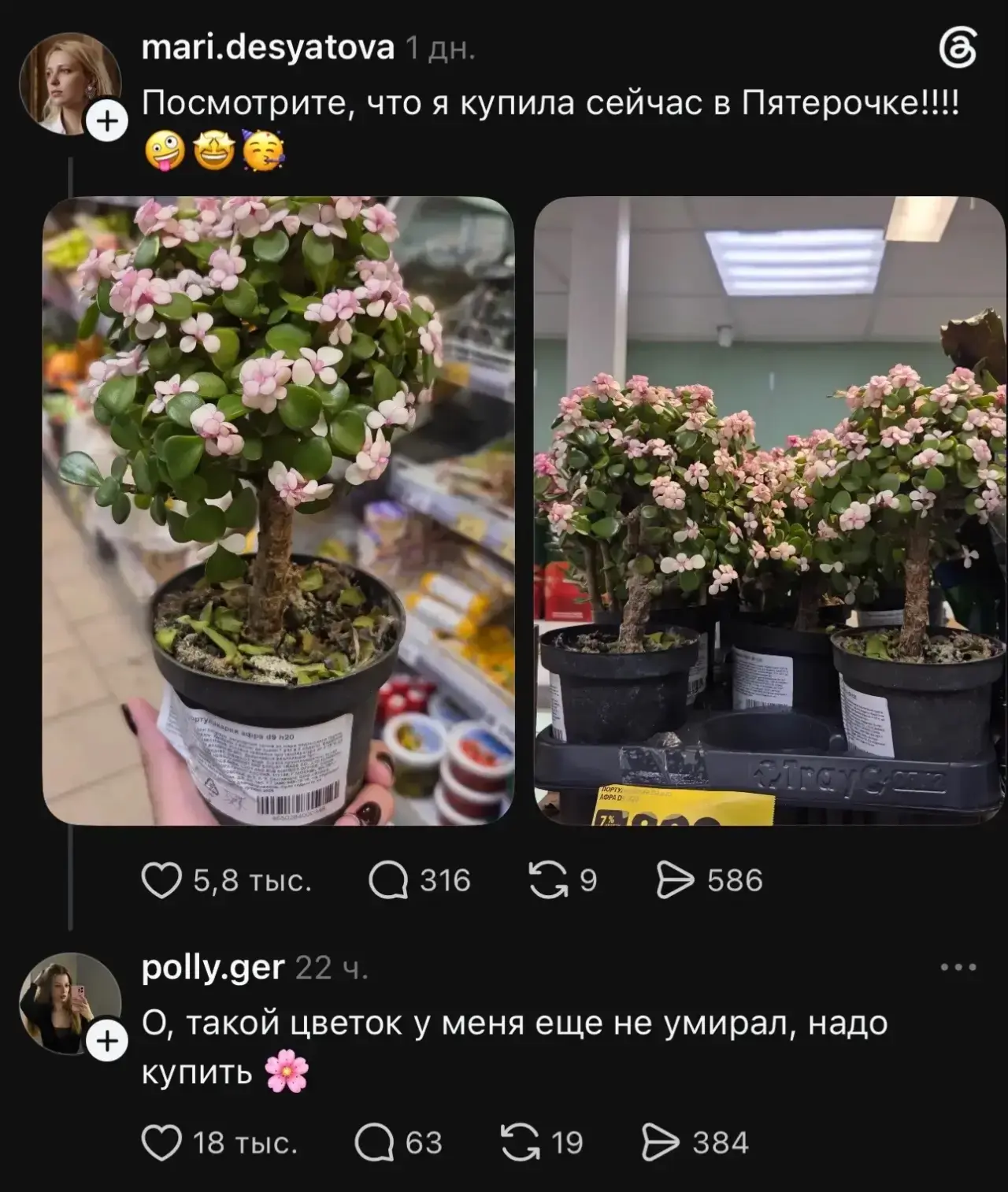 Практикуйте? 🙊😅Дайте честных ответов 🙏😁