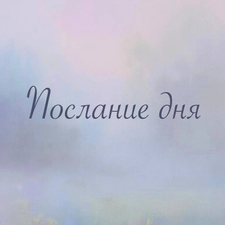 ✨