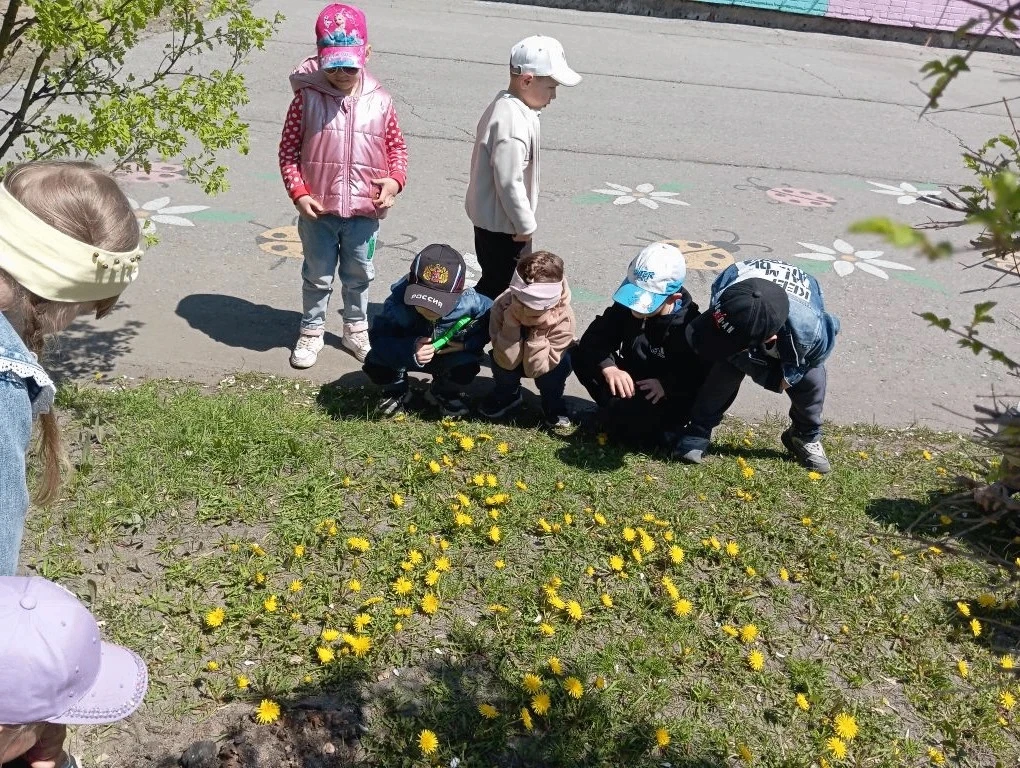 🌼 «Одуванчик — золотое солнышко»
В старшей группе прошёл яркий и познавательный тематический день, 