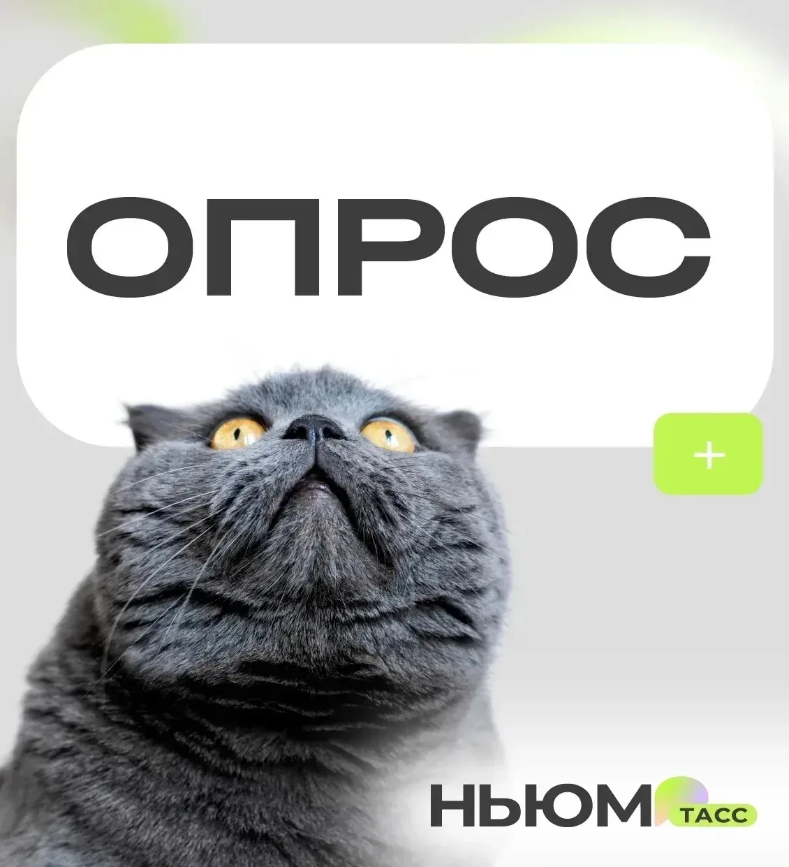 Каждый четвёртый школьник хочет подрабатывать летом.