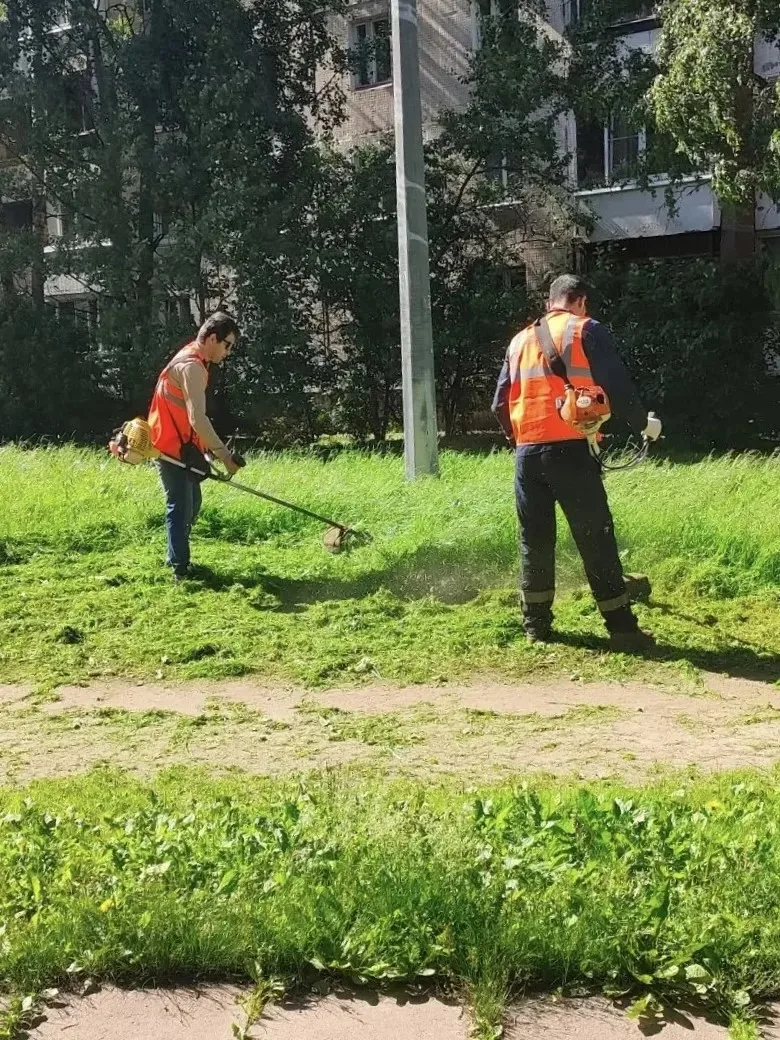 Работаем во дворах! 🚜