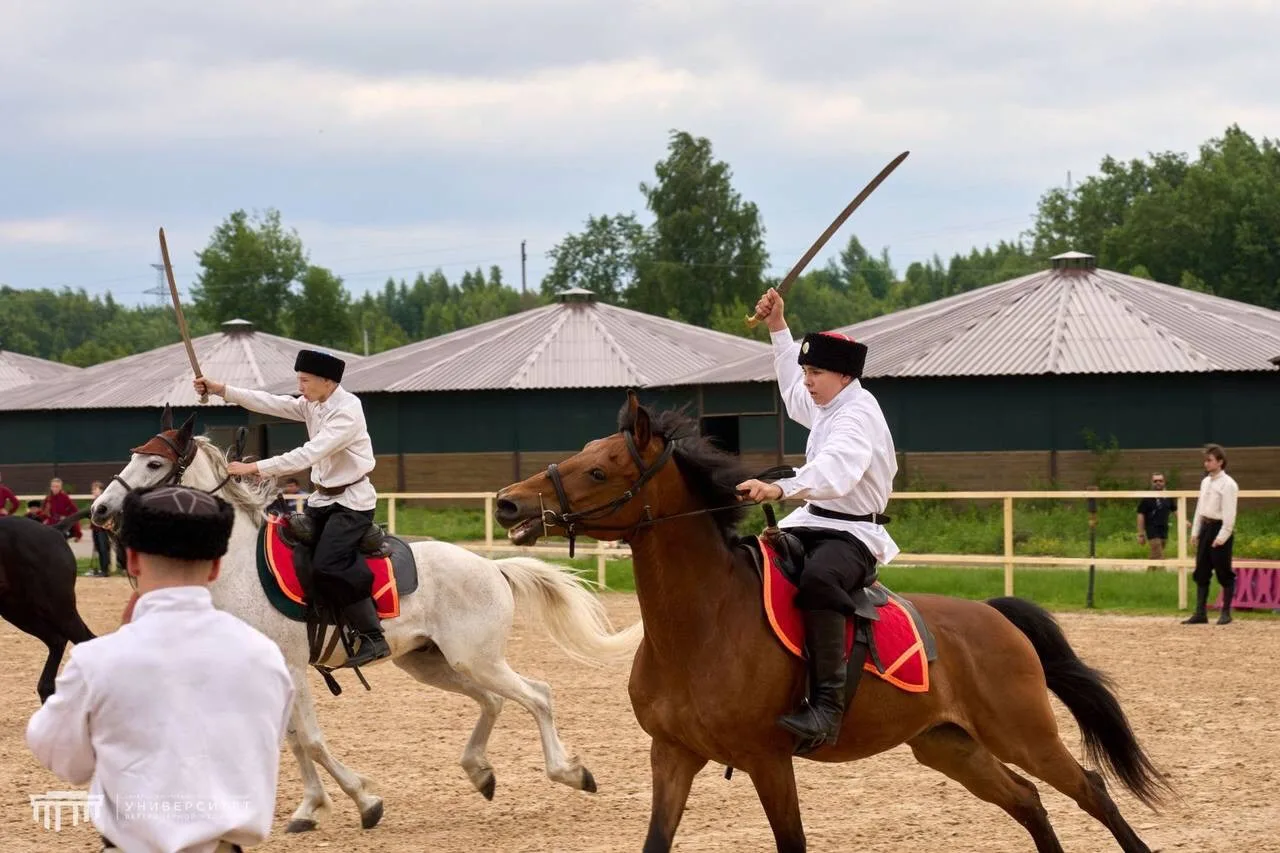 🐎#СПбГУВМ  — в сердце «КониФеста»! 

➡️В Ленинградской области с успехом прошёл Первый международны