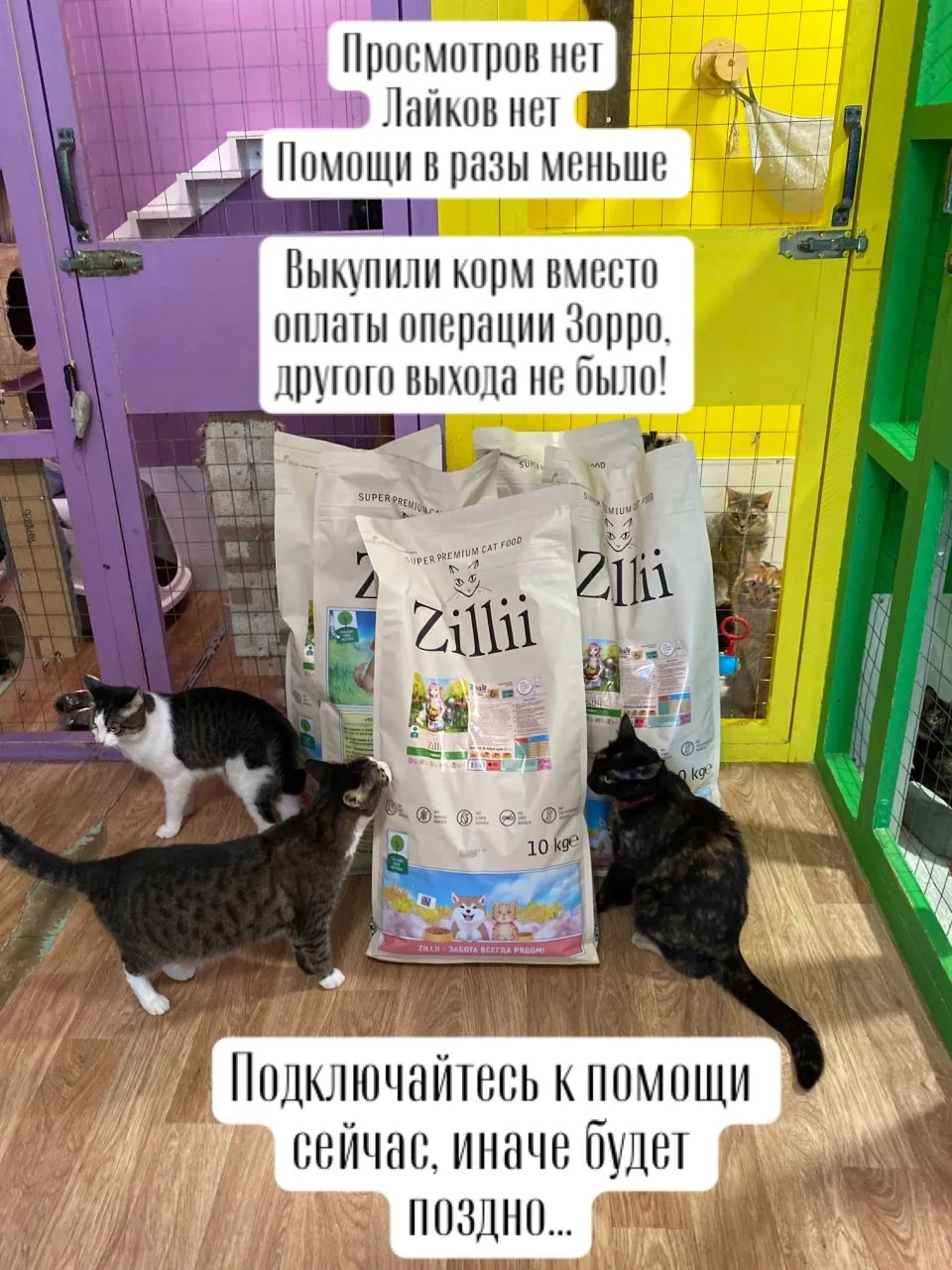 Корм мы выкупили, иначе было нельзя - оптовая доставка теперь только один раз в неделю ...