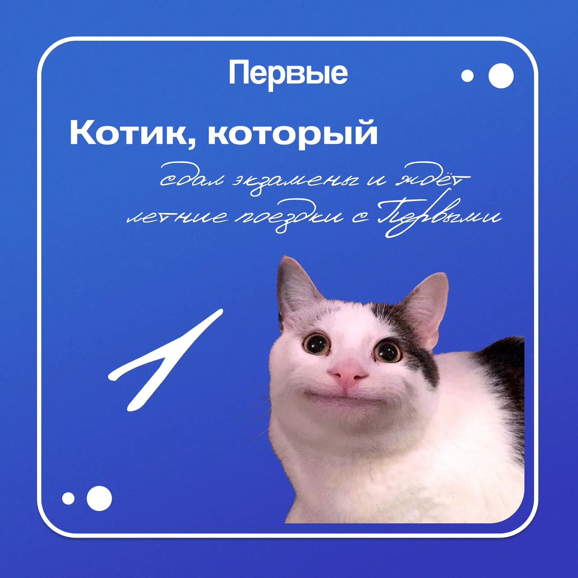 Замурррчательное летние настроение 😻

Лето — время беззаботных дней, масштабных планов и ярких восп