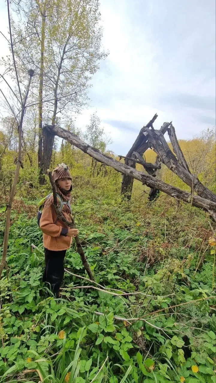 🌲 Третьего октября.