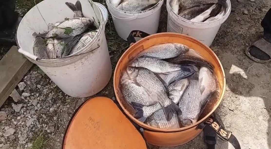 Черноерковская 🐠 улов за сутки на двоих 🐠