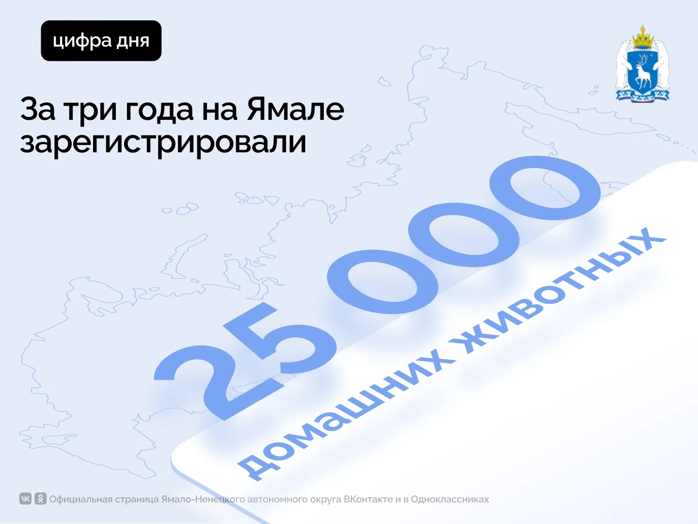 Кот Дио из Салехарда – юбилейный зарегистрированный питомец на Ямале. Его владелице Ека...