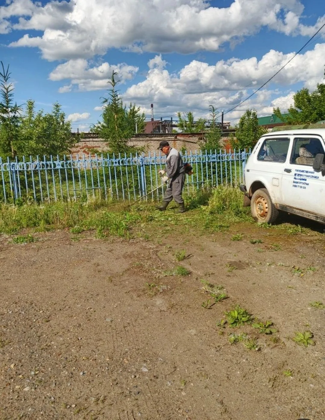 1 июня стартует очередной этап облагораживания территории: скашиваем траву и наводим чи...