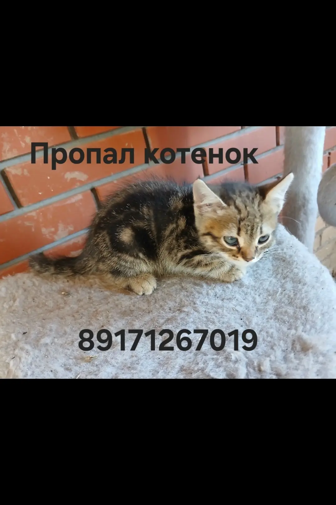 Выложите пожалуйста