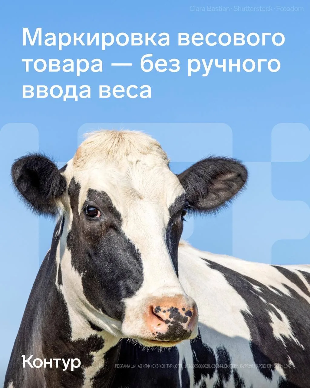 Всегда приятно видеть, когда российские компании растут не только в красивых пресс-рели...