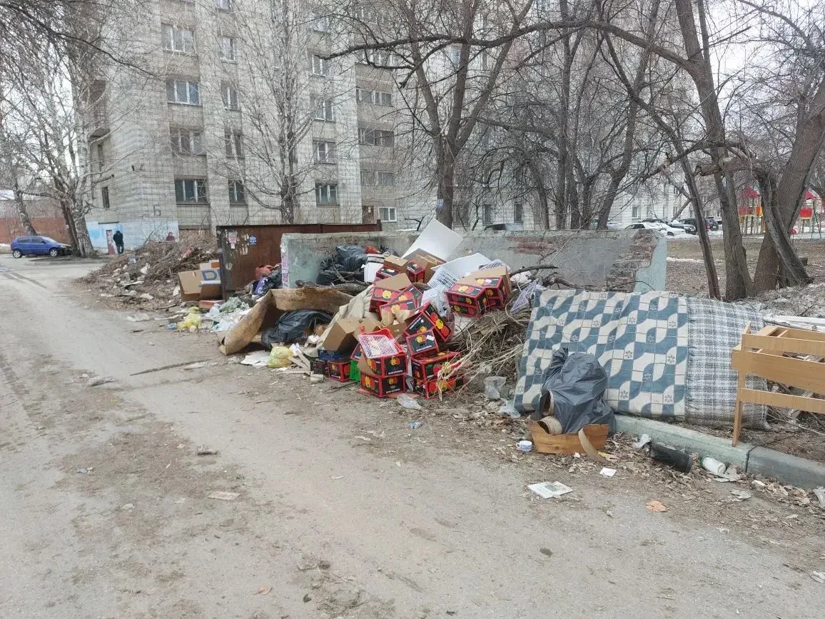 📍Прокуратура требует очистить Новосибирск от мусора  По требованию прокурора области Александра Бучм