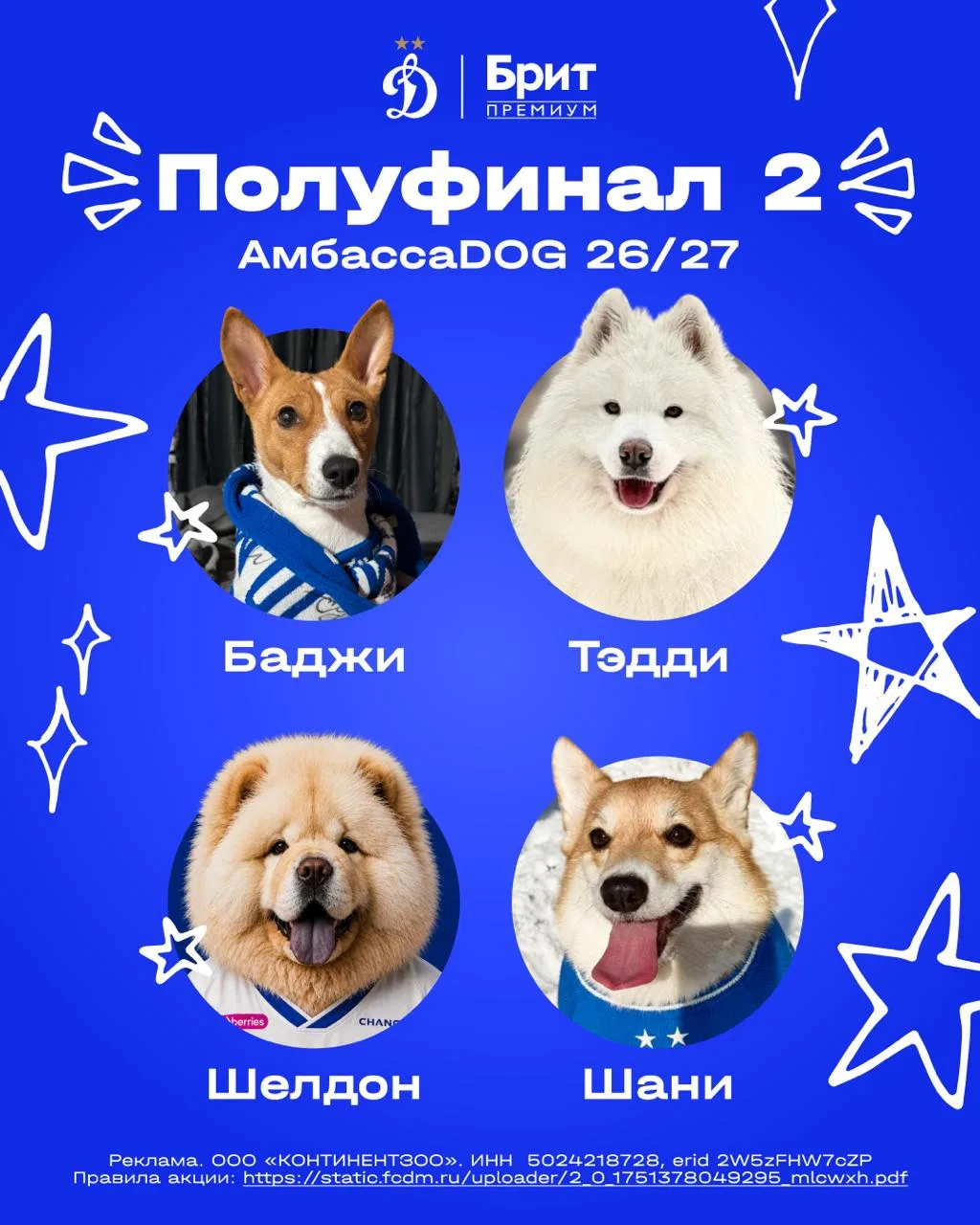 АмбассаDOG «Динамо» на сезон-2026/27: полуфинал №2 💙