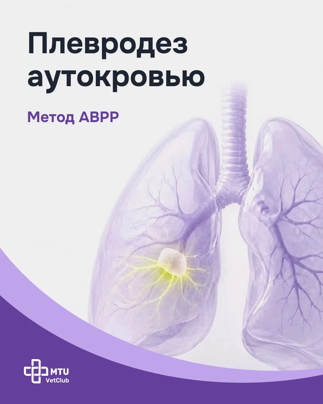 Зачем вводят аутокровь в плевральную полость