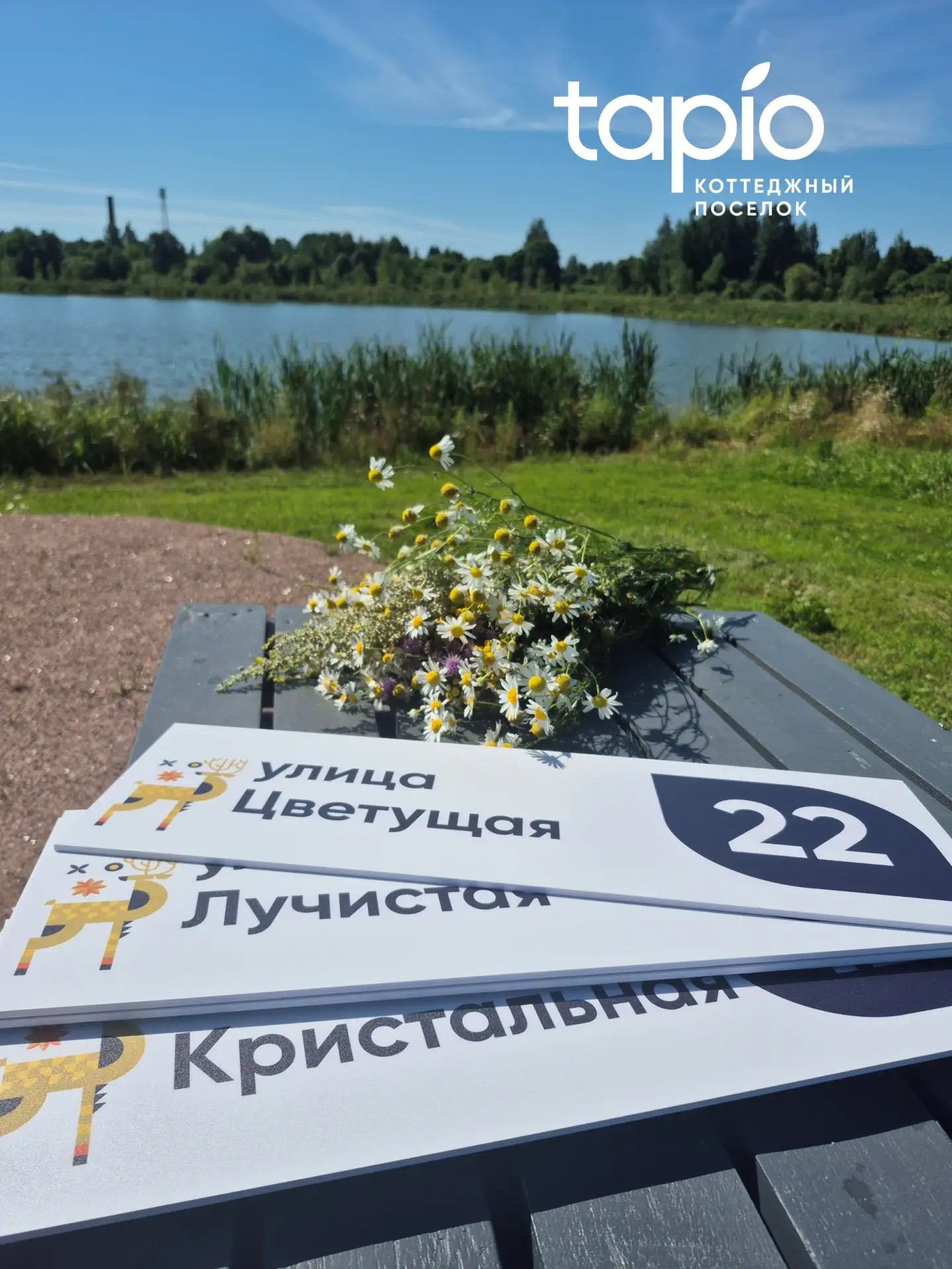 Друзья, привет! 👋