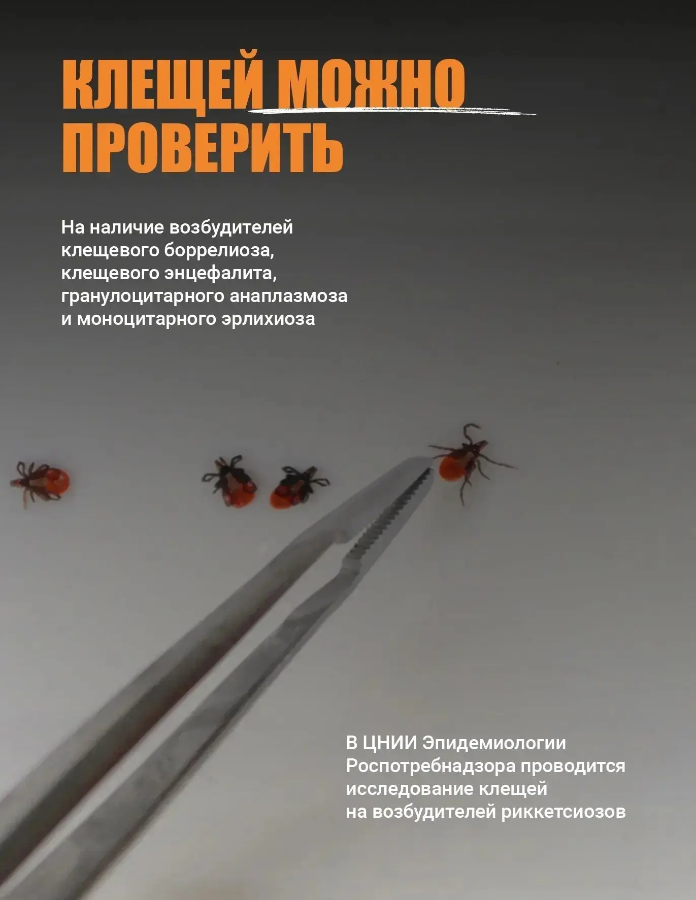 Погода дарит теплые, солнечные дни, а это отличная возможность выбраться всей семьей, с друзьями на 