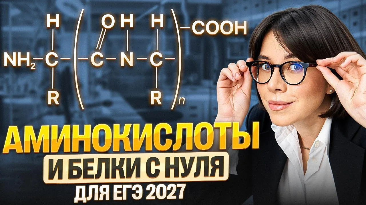 АЗОТНЫЙ ХИМФАЧОК: ВСЕ АМИНОКИСЛОТЫ И БЕЛКИ