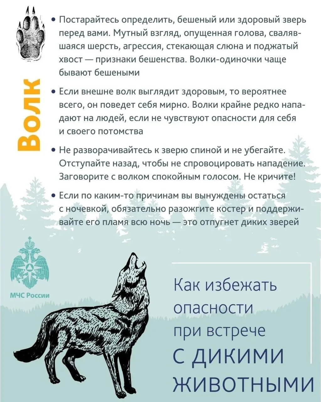 МЧС: В Новгородской области продолжается сезон сбора грибов и ягод.