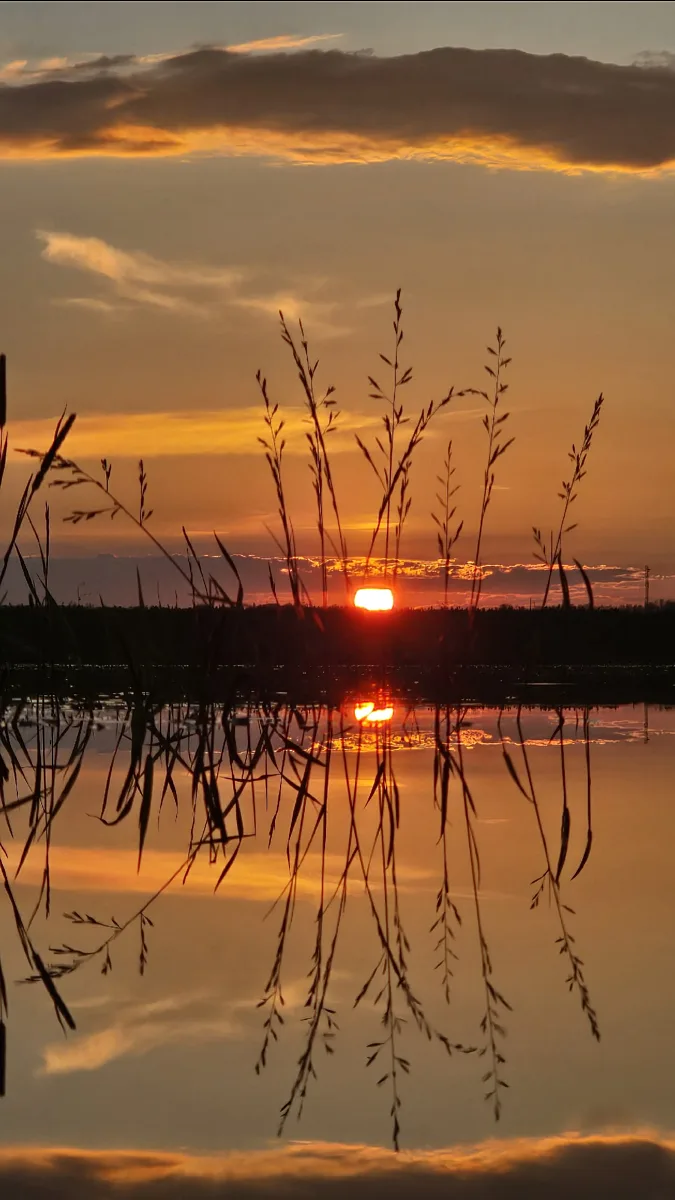 Голышмановские закаты — отдельный вид искусства природы 🌅

Фото: Валентина Муравьева