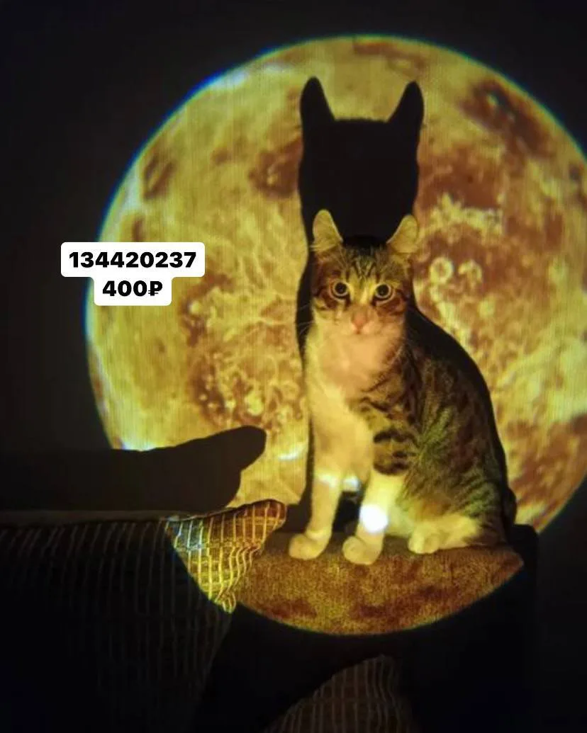 Звездное небо 🌌  Нравится подборка? Да-❤️               Нет-🔥  ВБ Находки  Подписаться