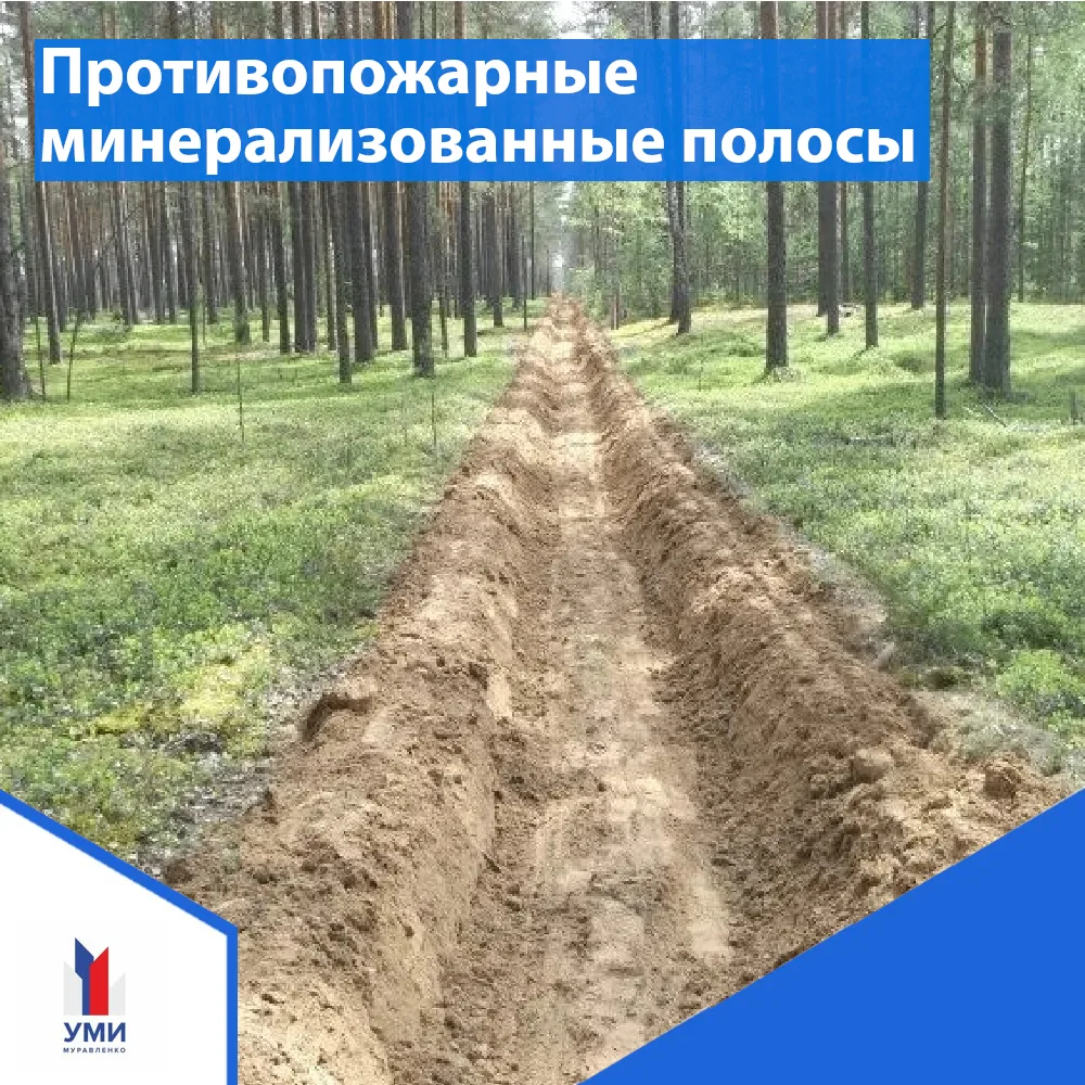 Минерализованная полоса — это линейная зона, очищенная от горючих материалов (травы, кустарников, де
