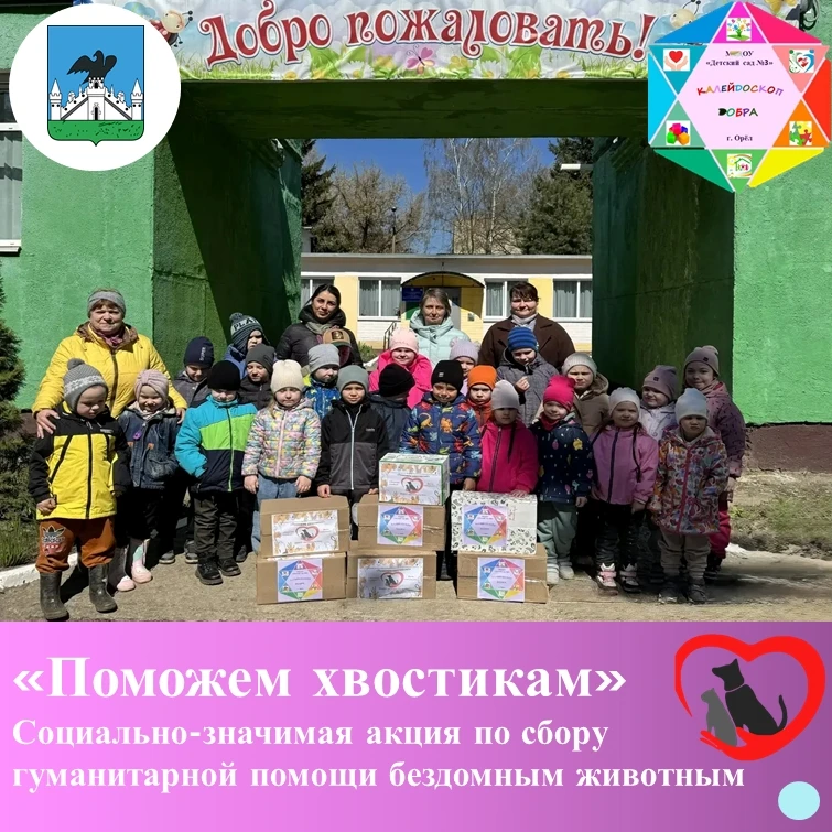 Поможем хвостикам» - социально-значимая акция по сбору гуманитарной помощи бездомным жи...