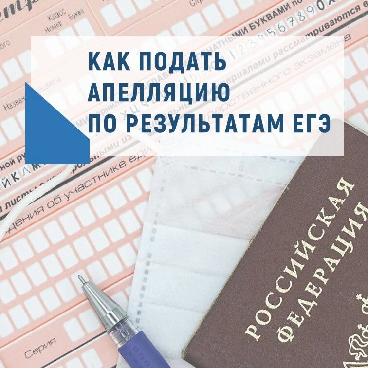 ❗ВСЁ ОБ АПЕЛЛЯЦИИ ЕГЭ