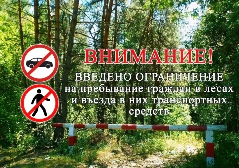 🌲Режим ограничения пребывания граждан и въезда в леса Ростовской области продлен до 24...