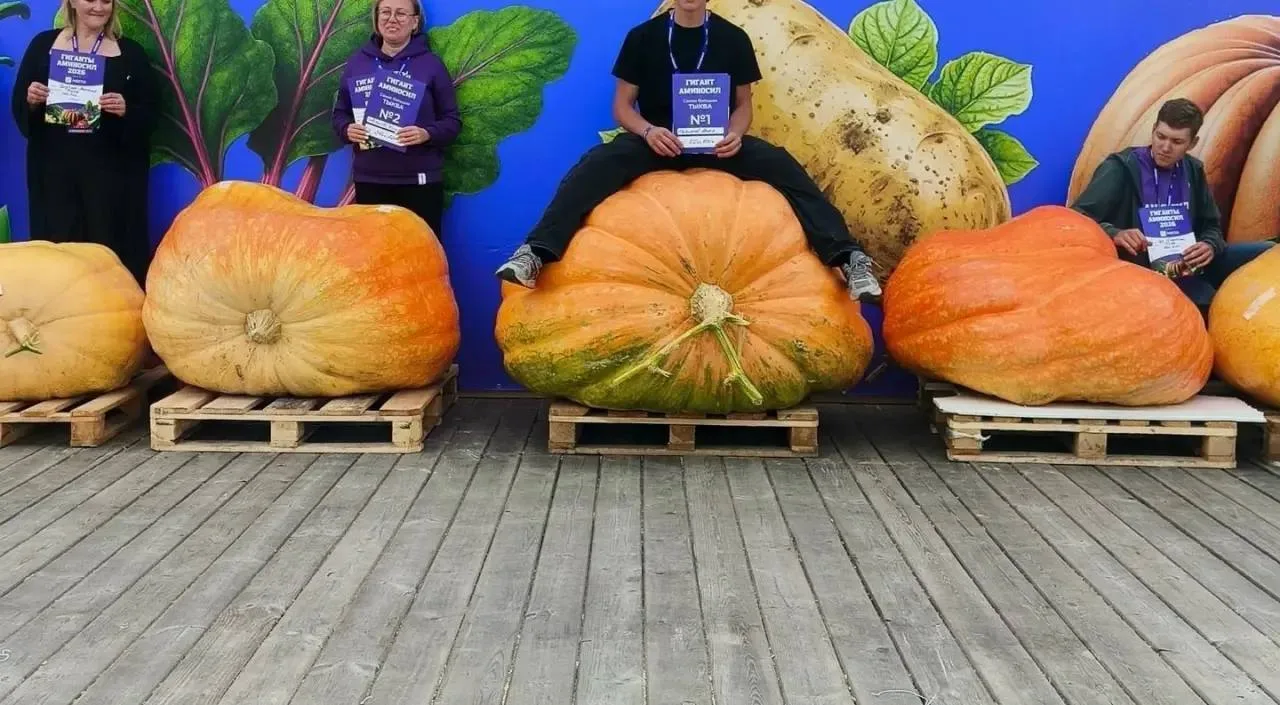 🎃 Школьник из Навашинского округа вырастил овощи на 1,06 млн рублей