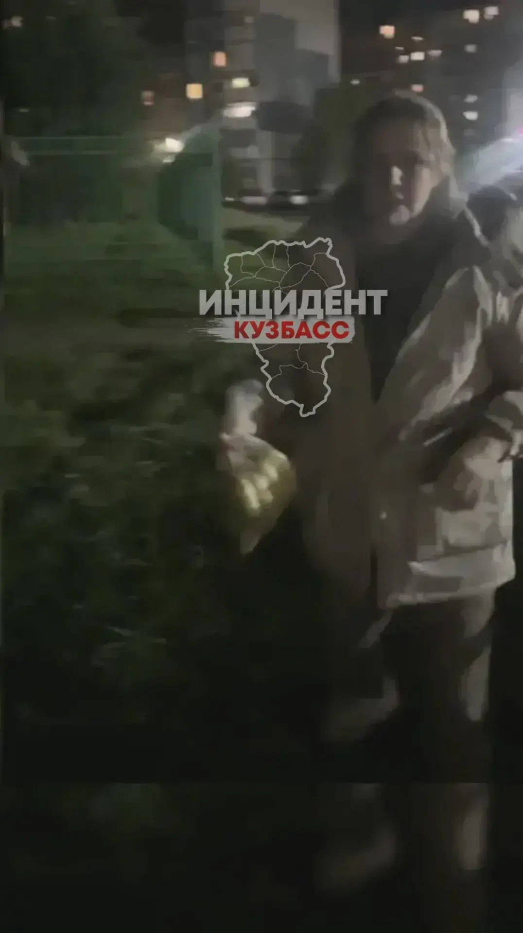 В Кемерове две женщины напали на девушку с псом