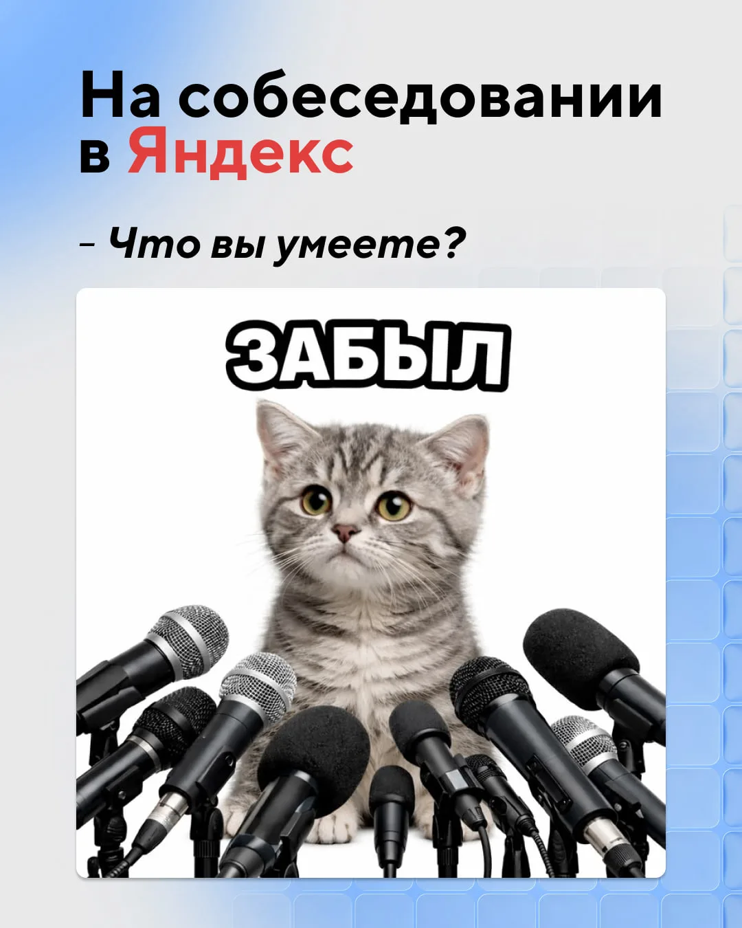 💼 Сильные разработчики и дизайнеры ведут портфолио, даже когда у них уже есть работа и...