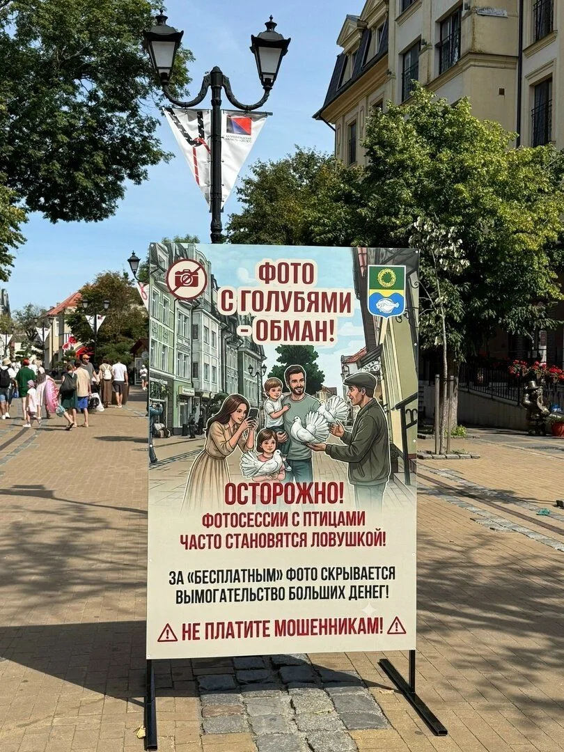 На улицах Зеленоградска поставили баннеры с призывом не фотографироваться с декоративны...