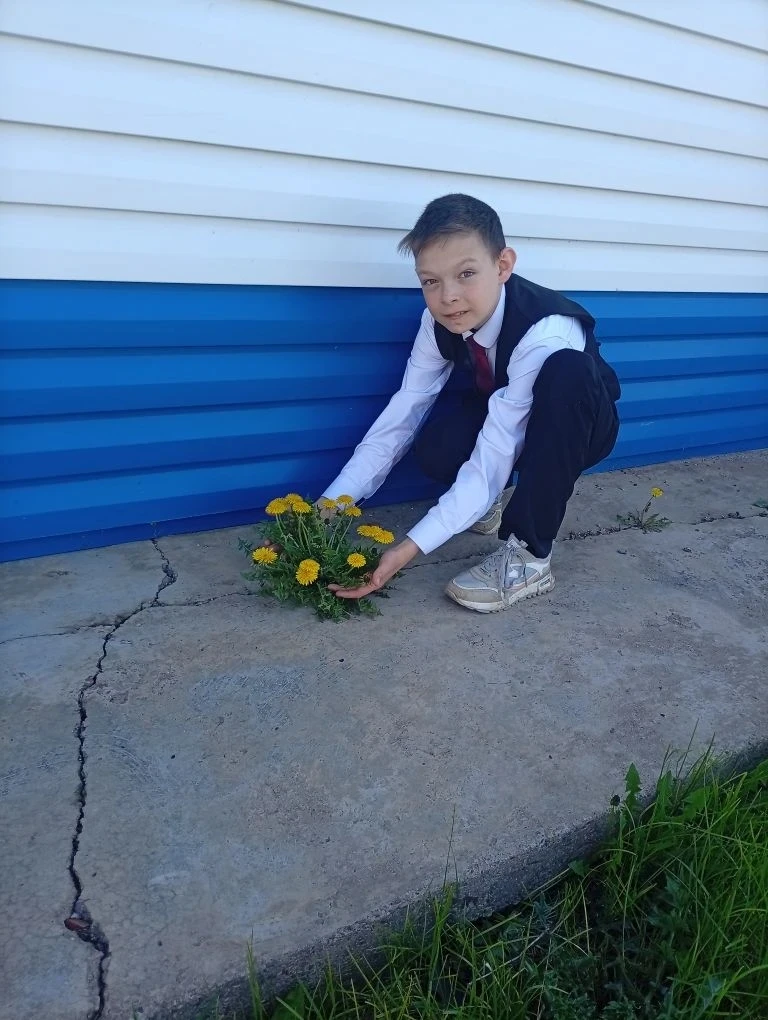 🌱Мы создаём цифровой гербарий конкретной локации: пришкольный участок МОБУ "Сузановска...