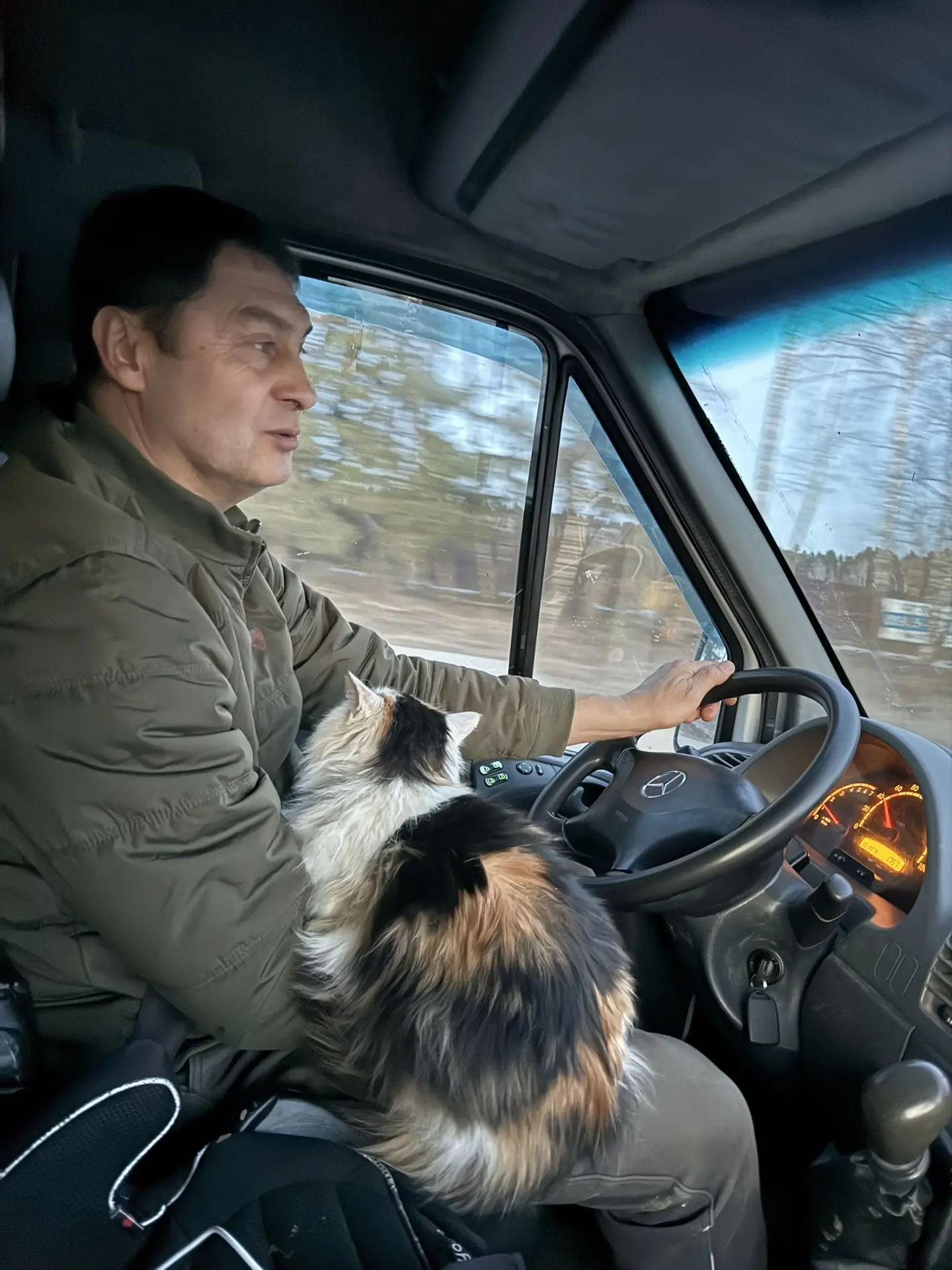 Все пушистики переезжают в новый дом 🐈