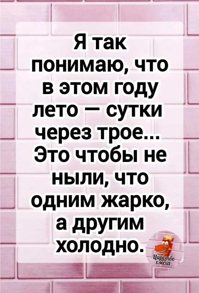 Примерно так и обещали 🥱