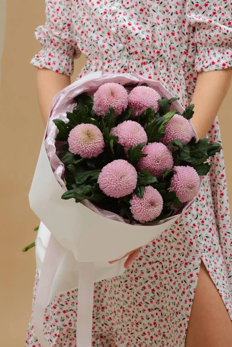 Нежные хризантемы сорта •Момока 🎀

5шт • 2100₽
9шт • 3500₽ / на фото / 
11шт •4200₽
15шт • 5600₽
19