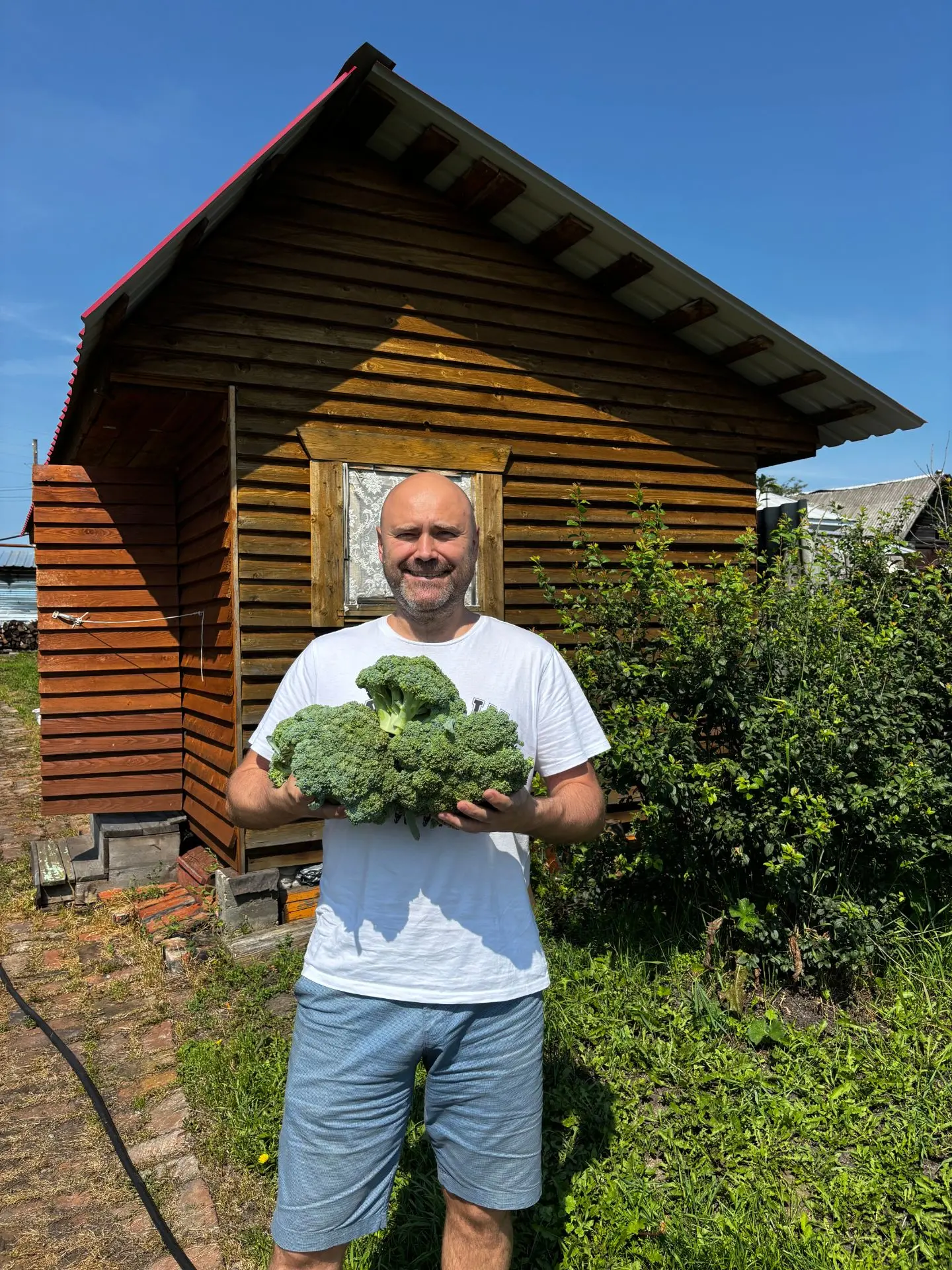 Немного деревенских фото!) 🌞 Погода уже 3 дня  +36 после месяца ливней.