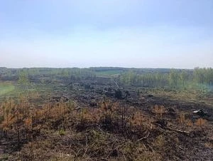 В Орловской области с помощью дронов обследовали более 1000 гектаров сельхозземель и выявили нарушен