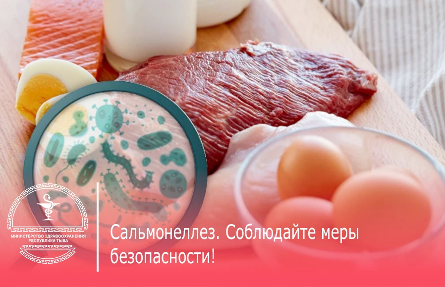 Сальмонеллёз: что нужно знать о «тихой» угрозе в еде? 🦠🍖