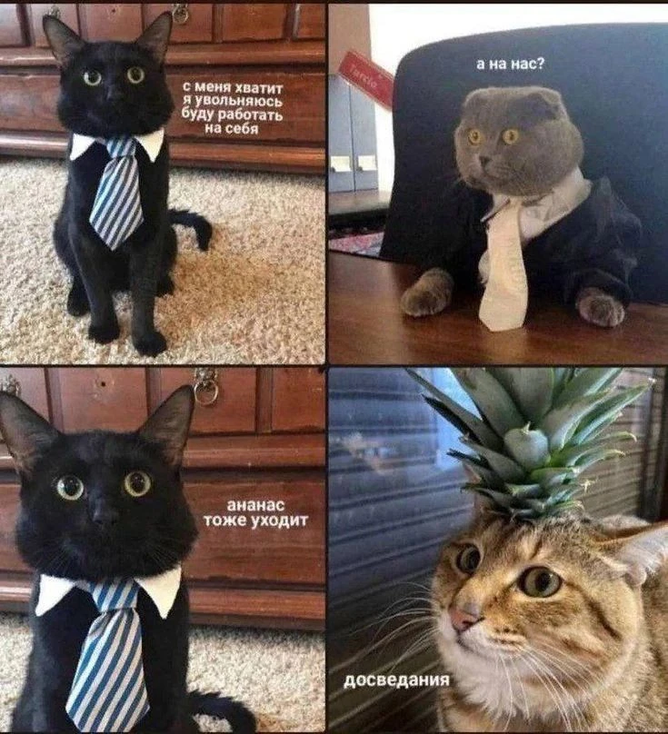 🍍🍍🍍