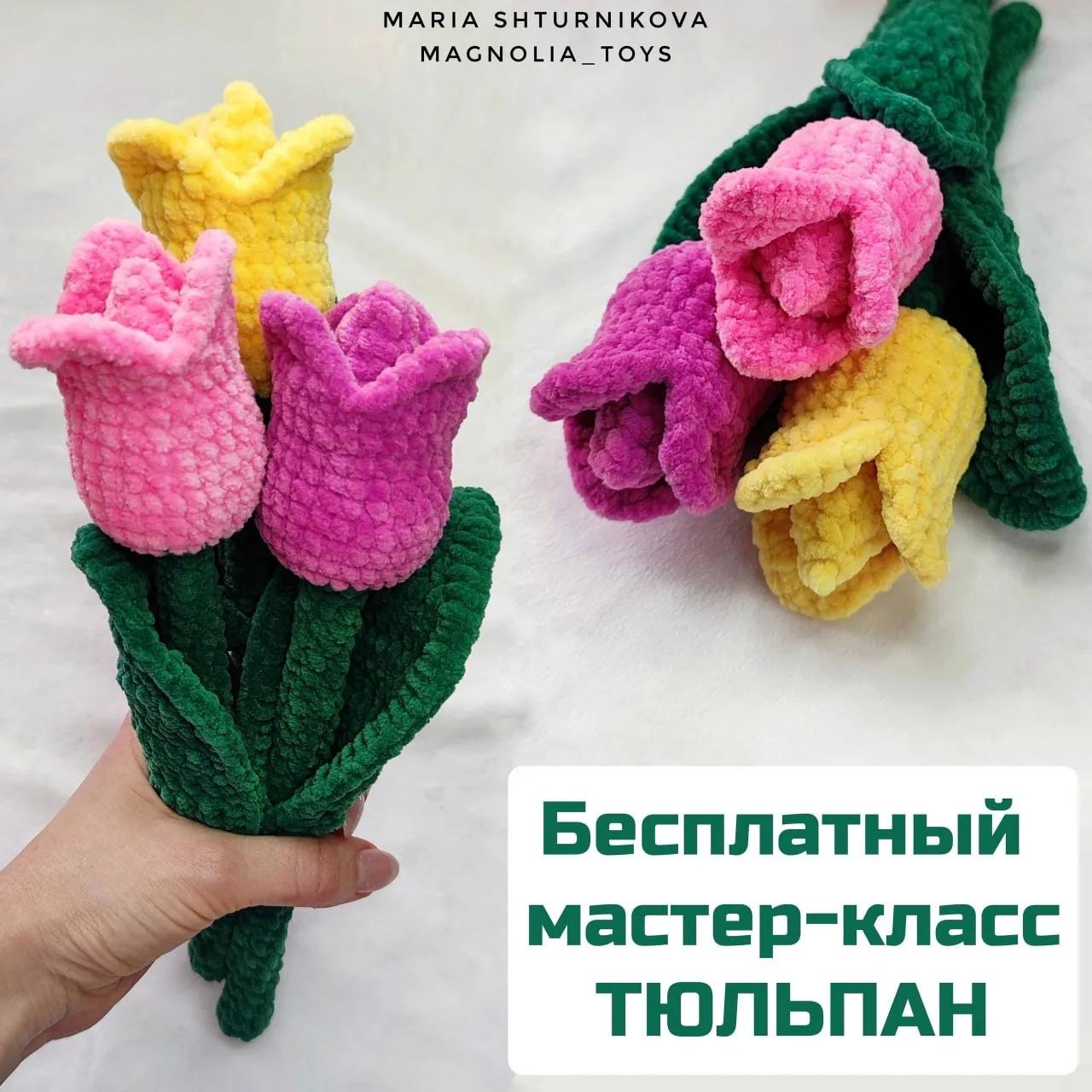 Тюльпан