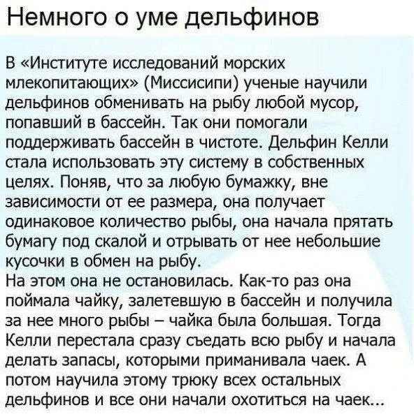 Записки алкоголика🥃 | Мы в MAX
