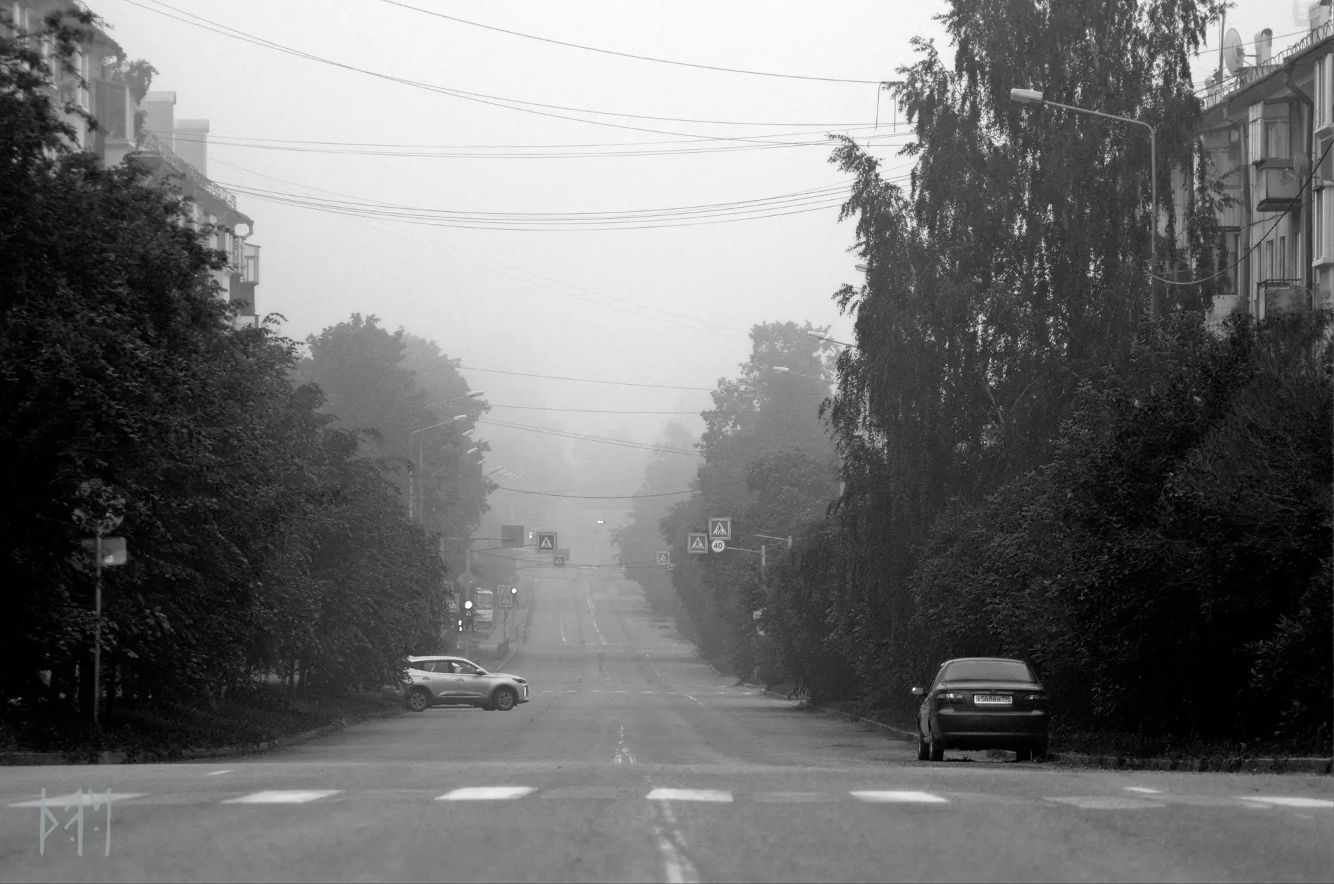 Туманное утро
Фото: Дмитрий Чистоусов