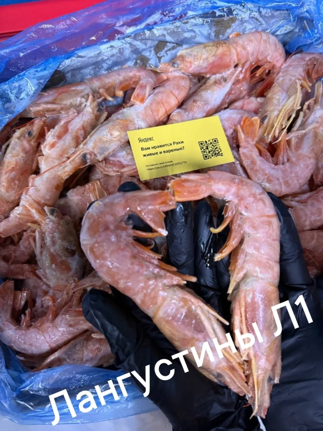 🍤🍤🍤🍤🍤
