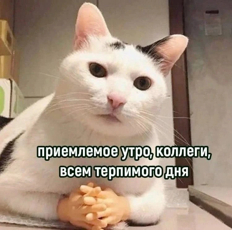 Люди, которые скидывают мемы в рабочий чат, работают хуже всех — выяснили аналитики.