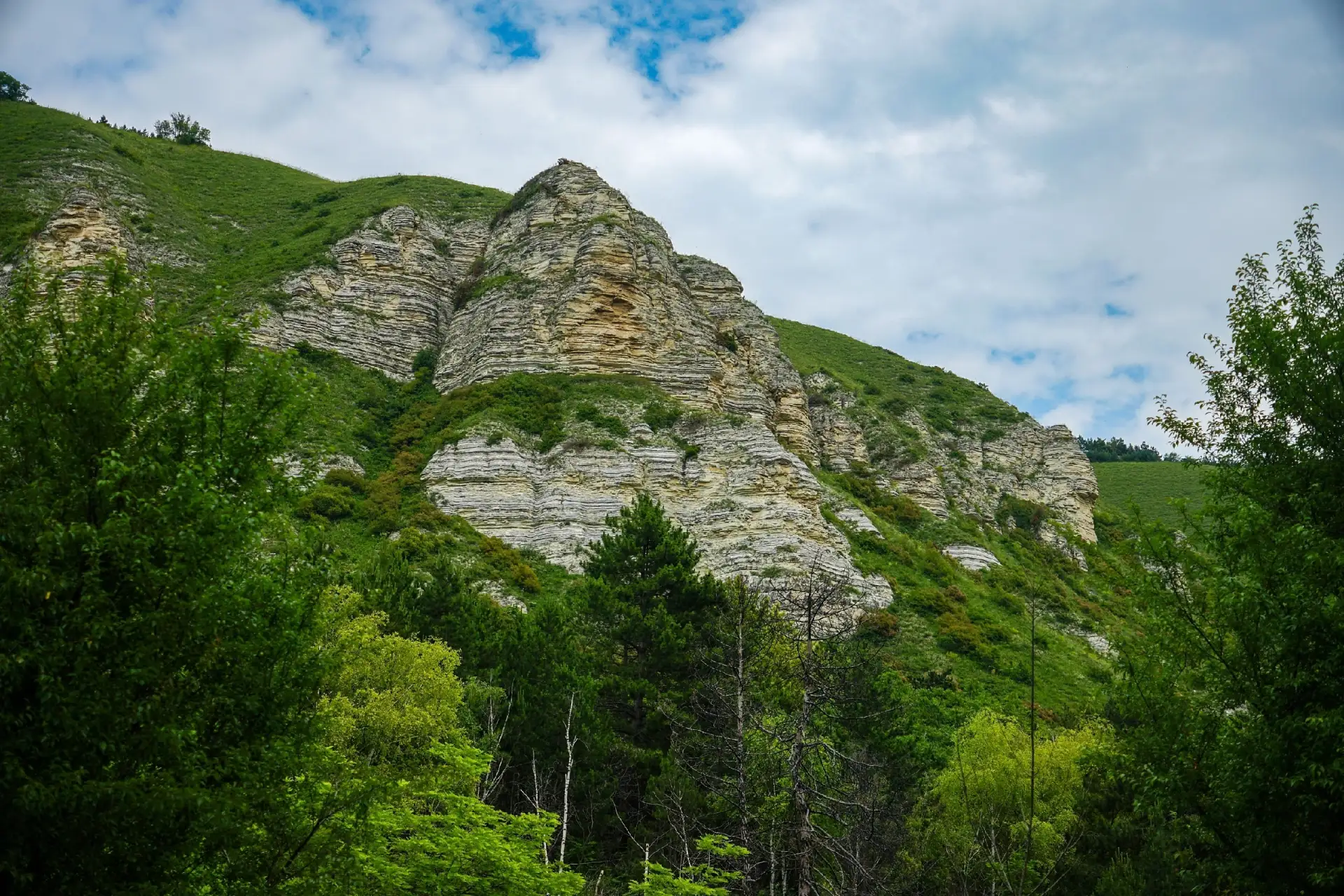 Боргустанский хребет