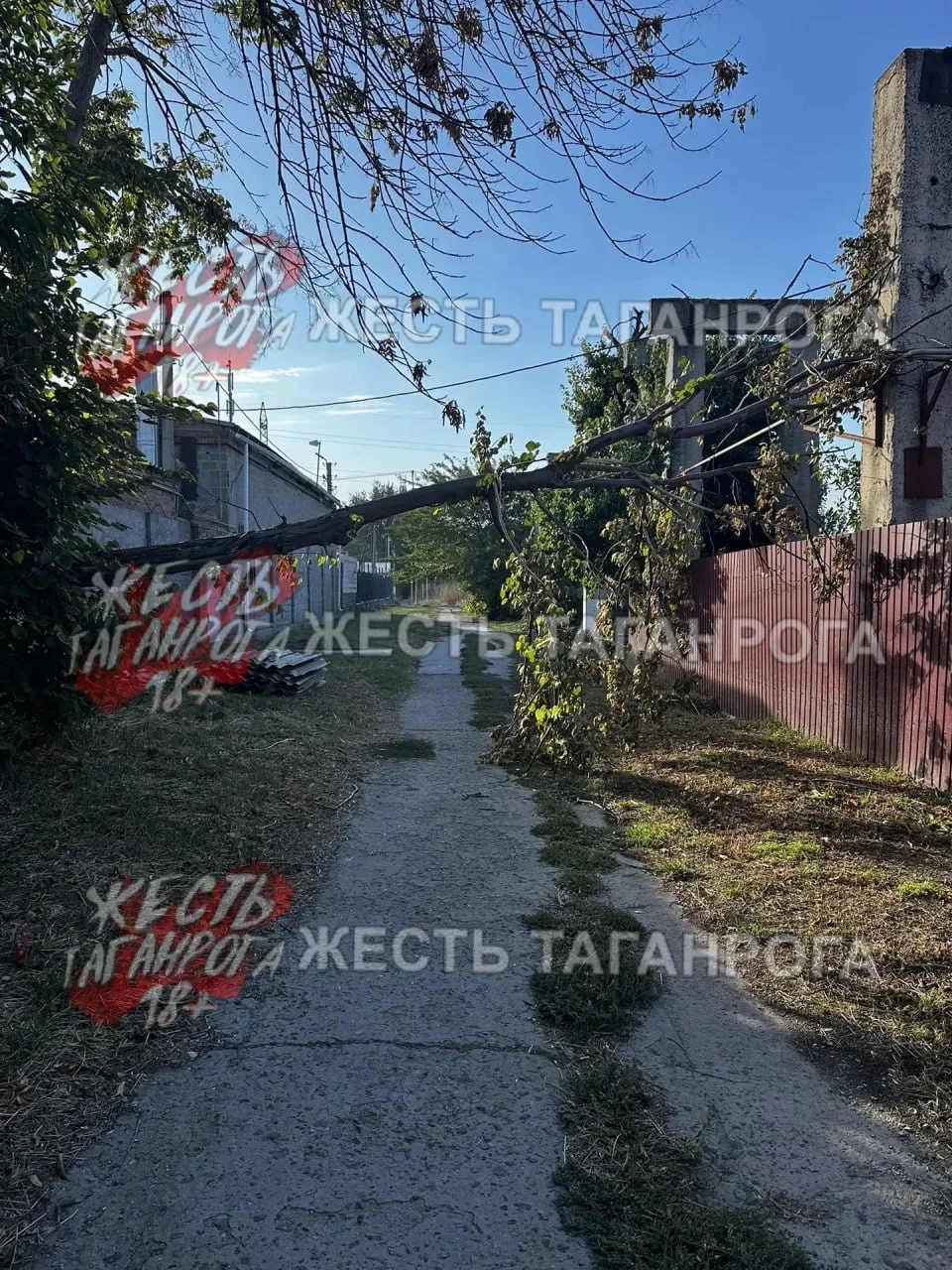 Дерево уже третий день лежит никому нет дела! Улица Сызранова, перед Поляковским шоссе