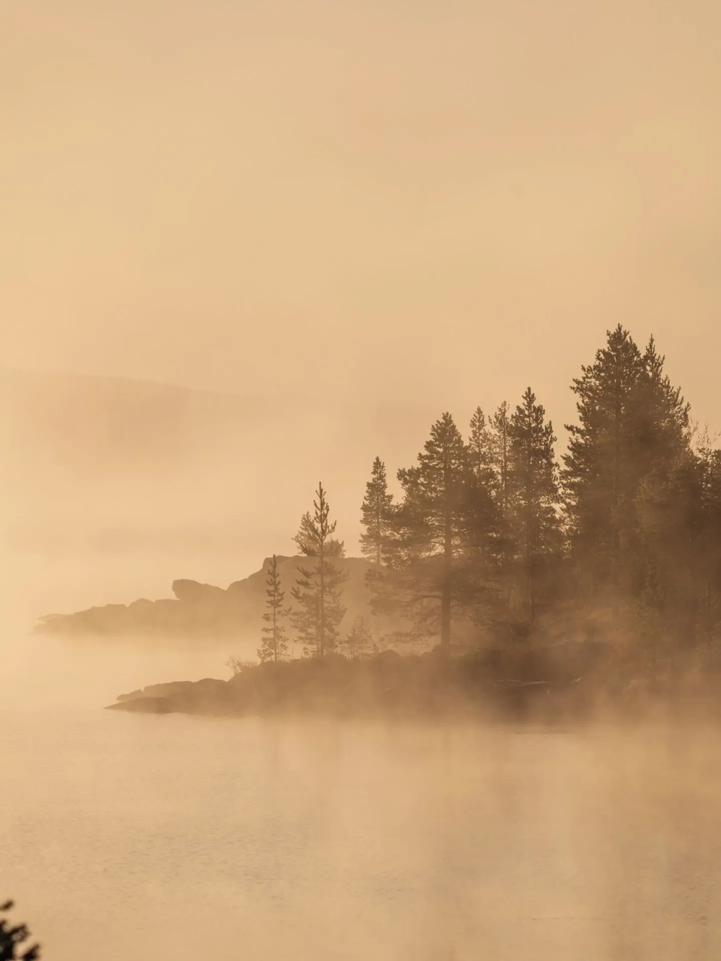 Осенние флюиды в тумане. 🍂🌫️ Какое фото нравится вам больше 1,2,3... 5?
